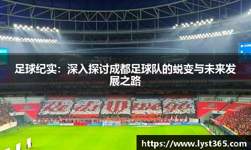 足球纪实：深入探讨成都足球队的蜕变与未来发展之路