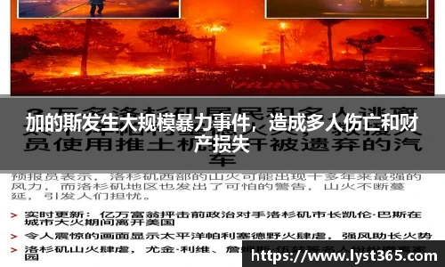 智博19有限公司