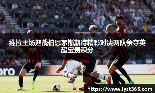 智博19有限公司